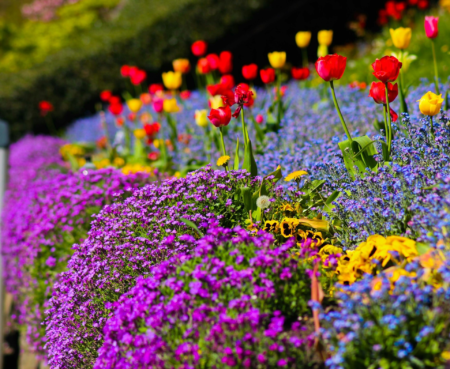 Blumen